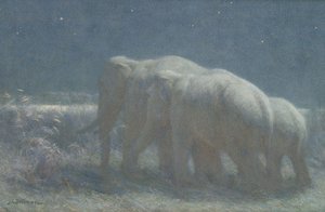 Nuit, 1908